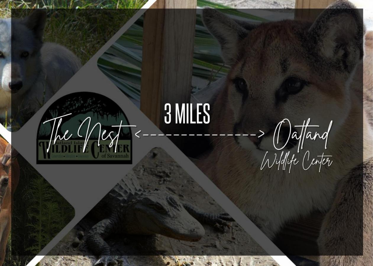 Cozy Oasis 15Min To Dt & Tybee, Home Away From Home - The Nest Savannah Kültér fotó